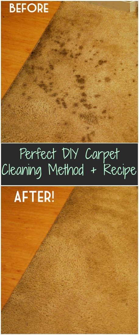 Homemade Carpet Cleaning Recipe 