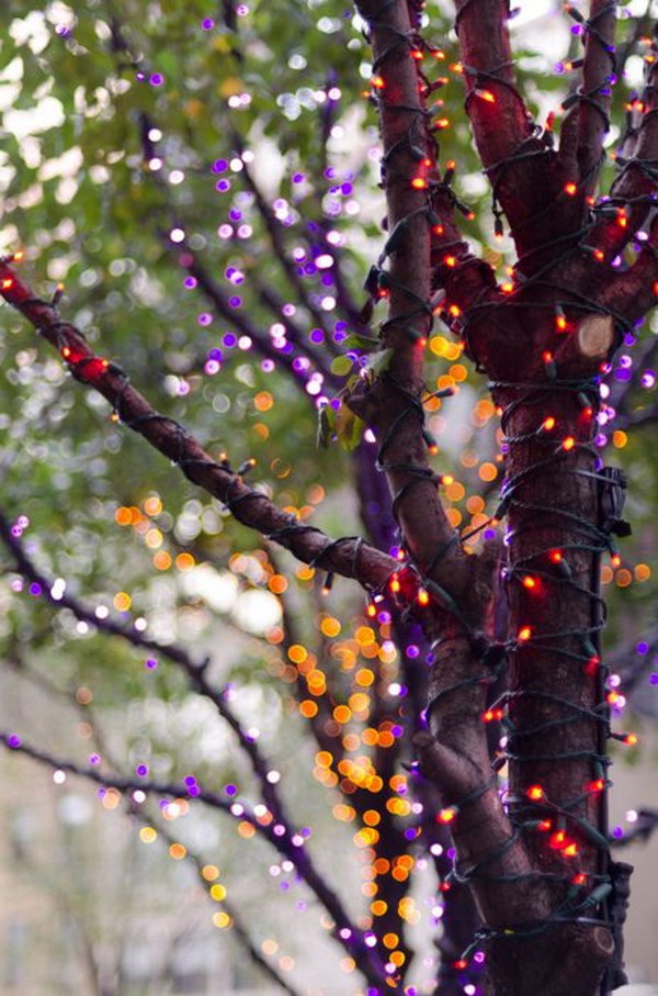 It's a simple but great way to use orange and purple LED mini lights to make your house even spookier at Halloween!