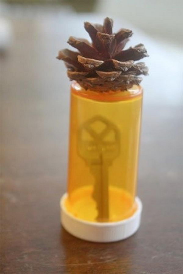 Pinecone Hide a Key. Hide your spare key in a medicine bottle with a piece of a pinecone glued to the end. Then bury it. 