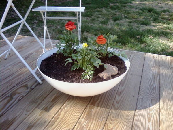 Ceiling Lamp Turned into Flower Pots. 