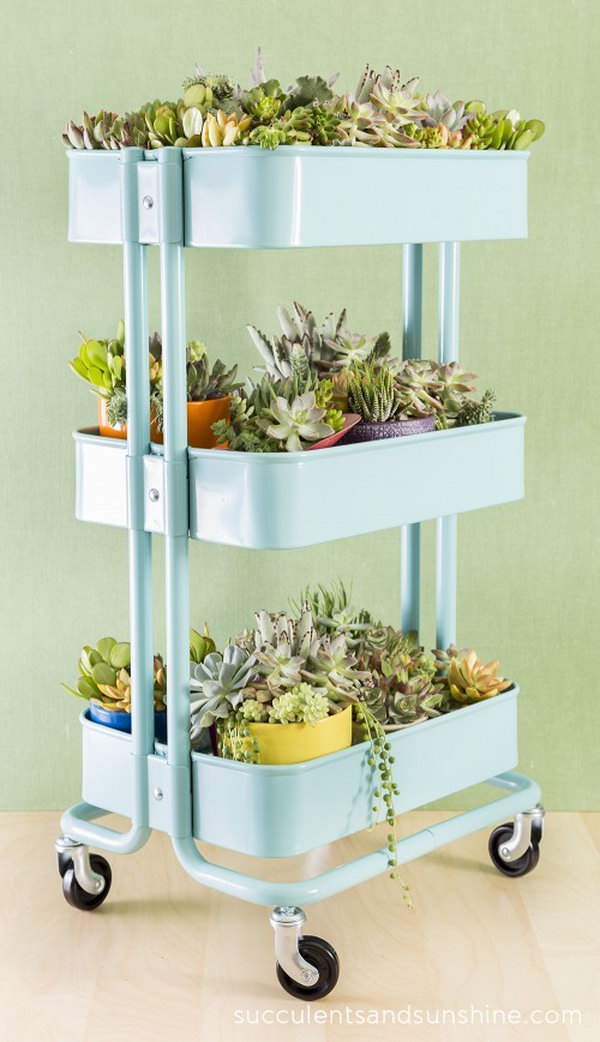 Succulent Garden in an IKEA Bar Cart. 