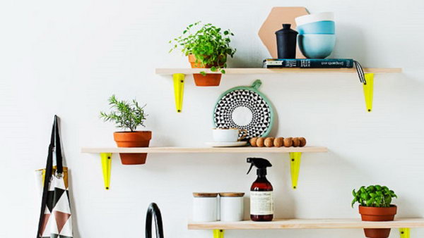 Setting Potted Plants in the Shelves. 