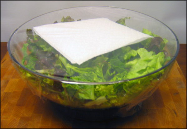 Avoid Limp Lettuce with Paper Towel. 