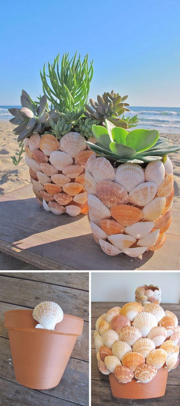DIY Seashell Planter 