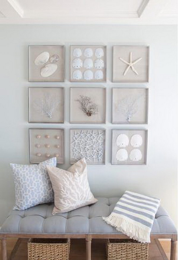 A Collection Of Framed Starfish, Sand Dollars, Seashells And Sea Fans For Nautical Wall Art 