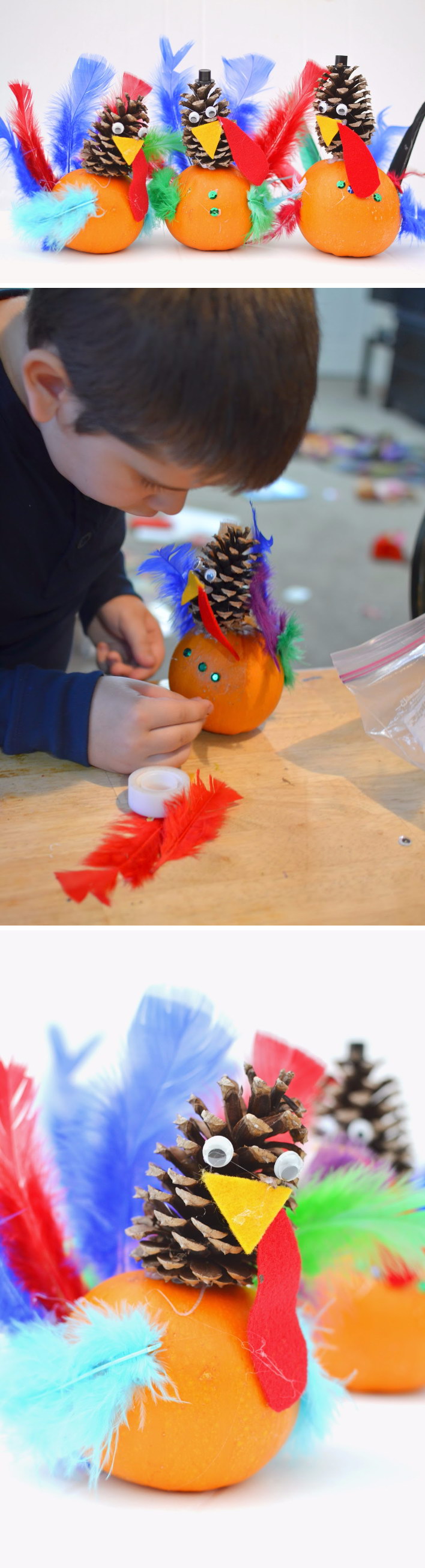 DIY Pumpkin and Pine Cone Turkey Craft.  