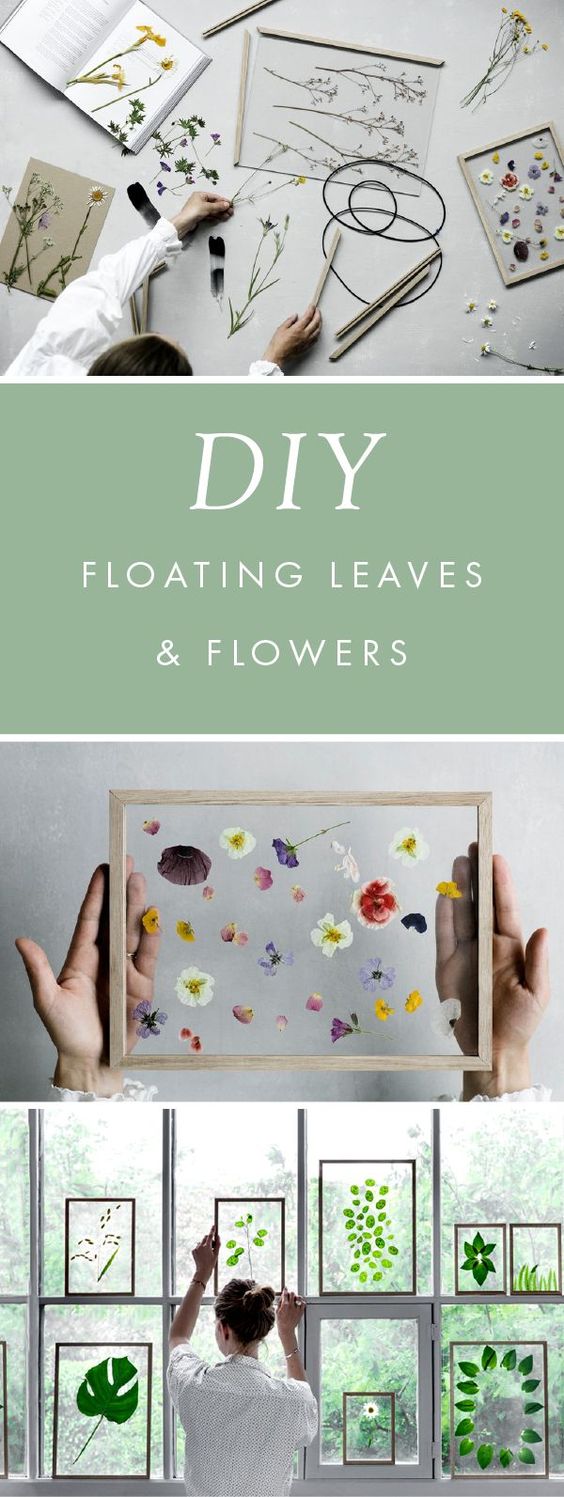 DIY Framed Floating Leaves & Flowers . 