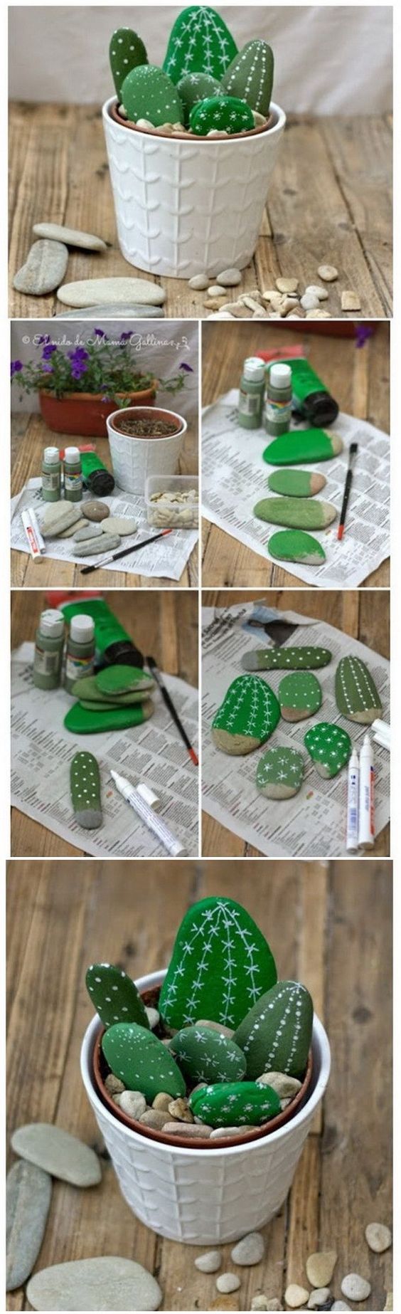 Painted Cactus Rocks. 