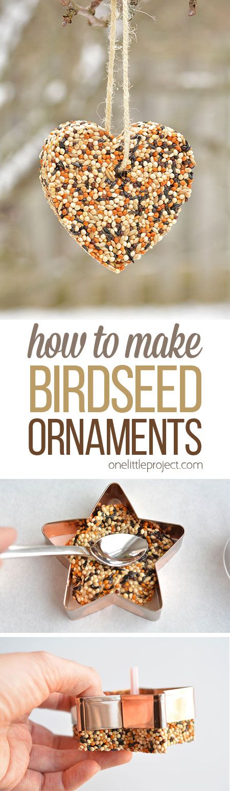 Birdseed Ornaments. 