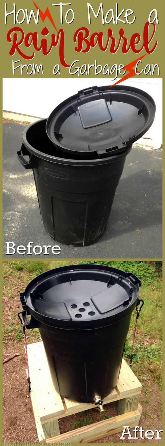 Create an easy DIY rain barrel from a garbage can to water your yard and gardens. 