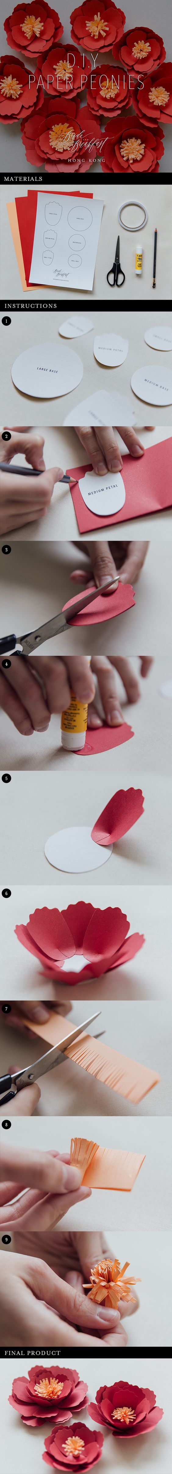 DIY Paper Peonies. 