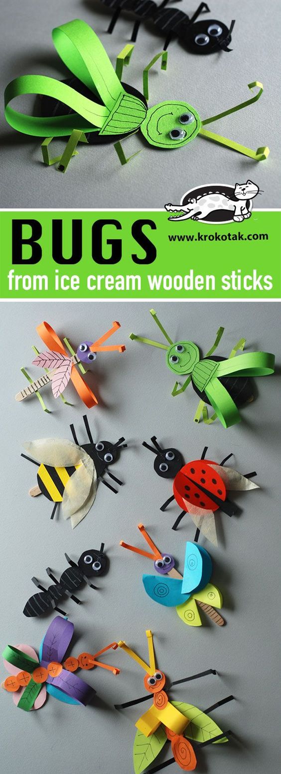 Bugs From Ice Cream Wooden Sticks. 