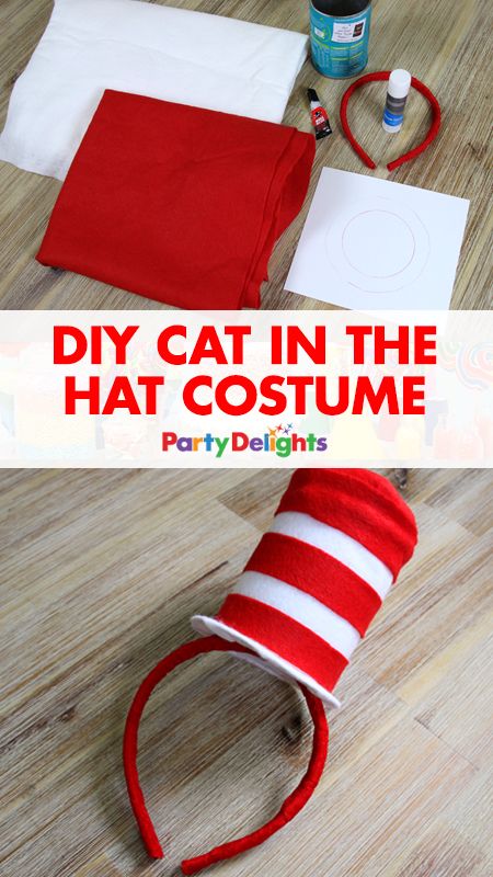 DIY Cat In The Hat Costume. 